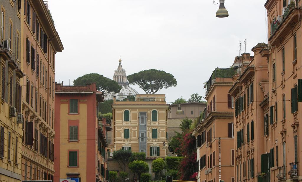 Vatican White Domus — Photos 1